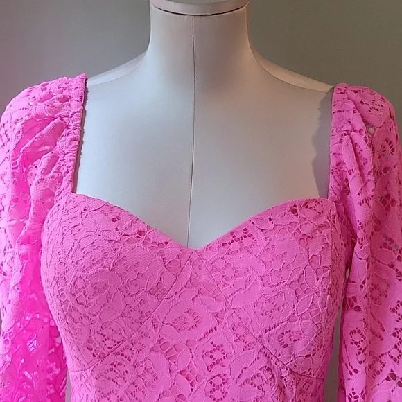 Lilly Pulitzer Pink Lace Dress Size 4 NWT - Picture 4 of 8